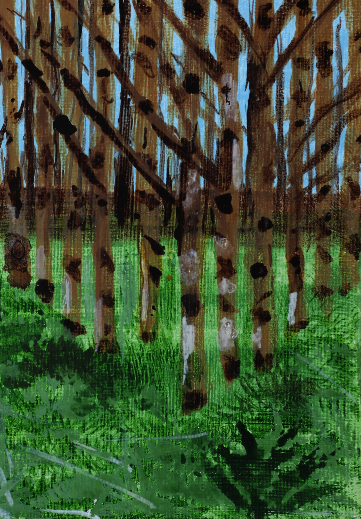 JJ25:2074 Incognito Artwork