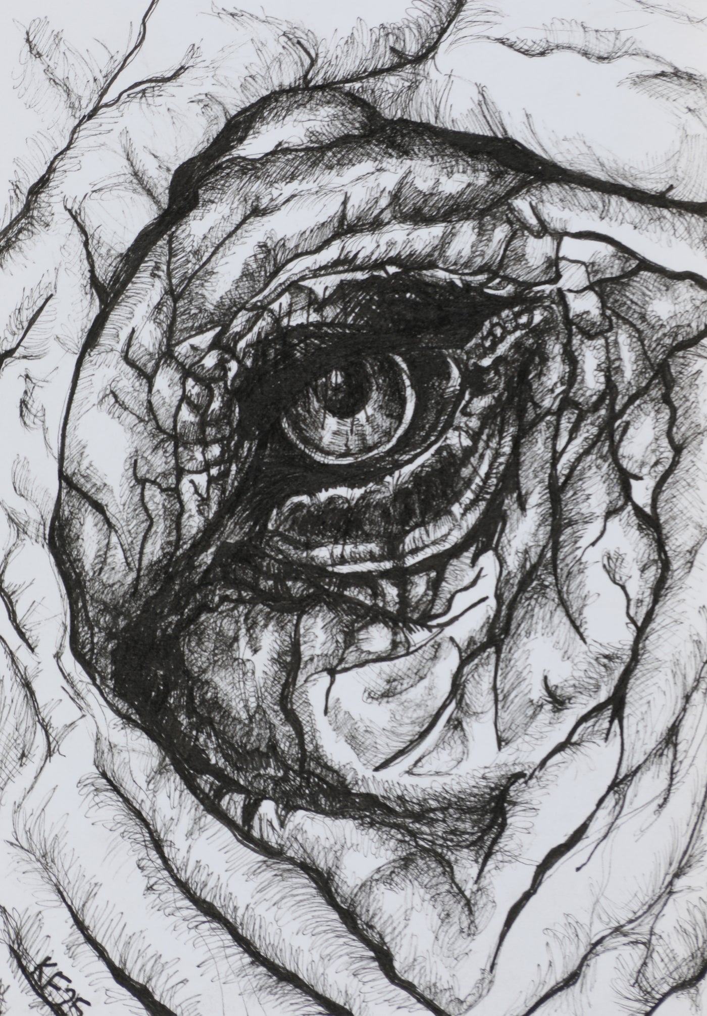 JJ25:2694 Incognito Artwork
